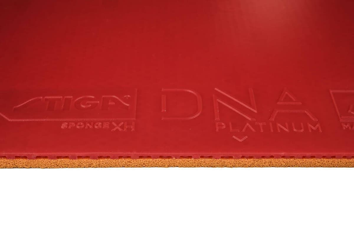 4376_c139ee55a9-dna-platinum_xh_sponge-full