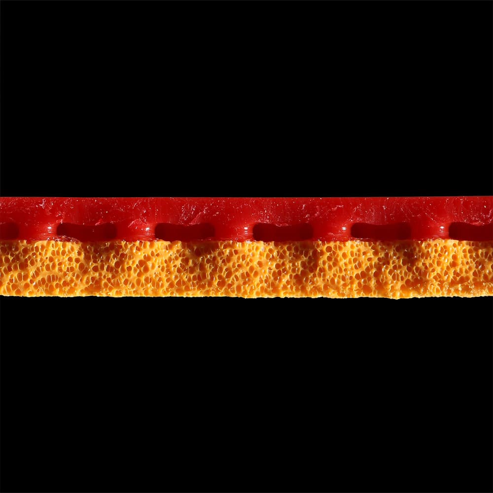 5096_2c7ceefd18-dragon-grip-55-sponge-2-full