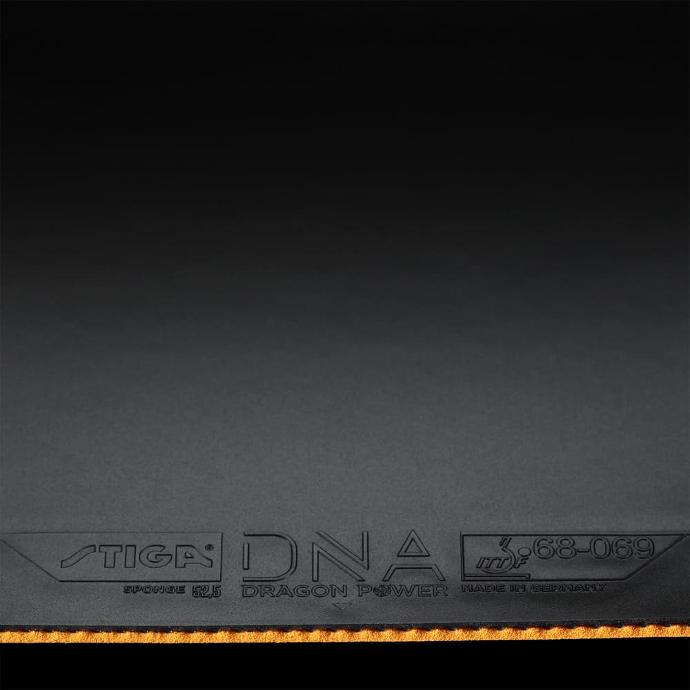 5097_549c5595ce-dragon-power-525-black-2-full